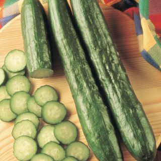 Tasty Green Cucumber Thumbnail